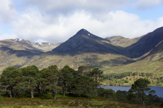Uitzicht vanaf de tent