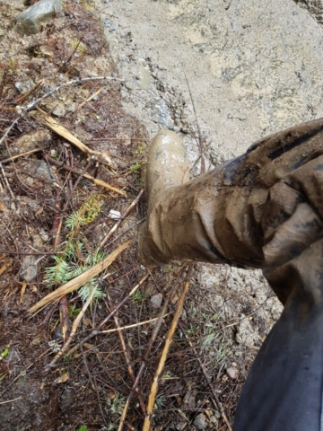 Modderig Modderige poten