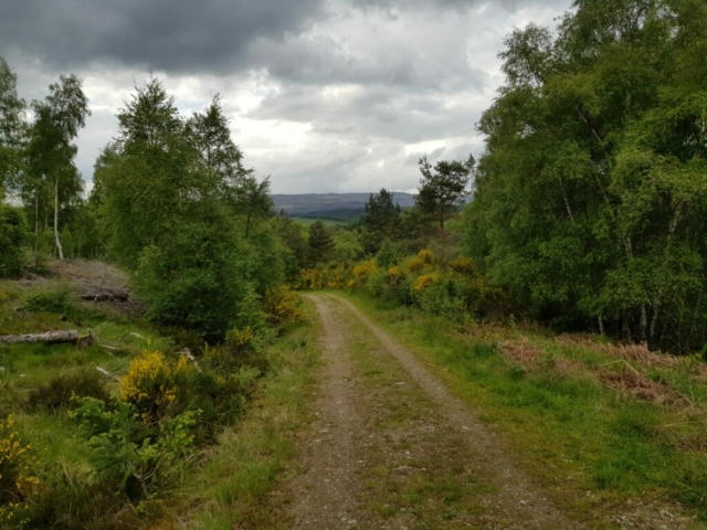 Paden richting Cannich