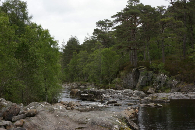 River affric bij Dog Falls