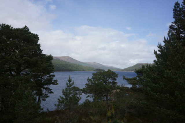 Prachtige uitzichten op het meer